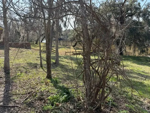 3645 Pan American Road, Brazoria, TX 77422 - #1