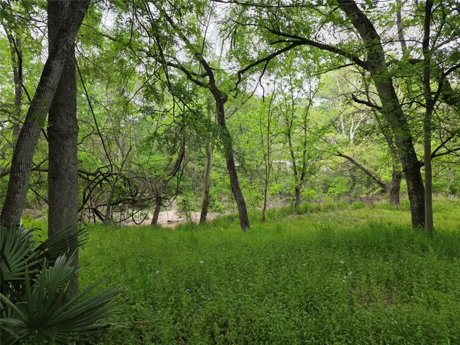 15 Caney Court, Huntsville, TX 77320 - #2