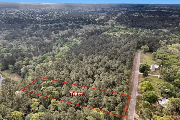 TBD- TR1 Cedar Lane Loop, Willis, TX 77378