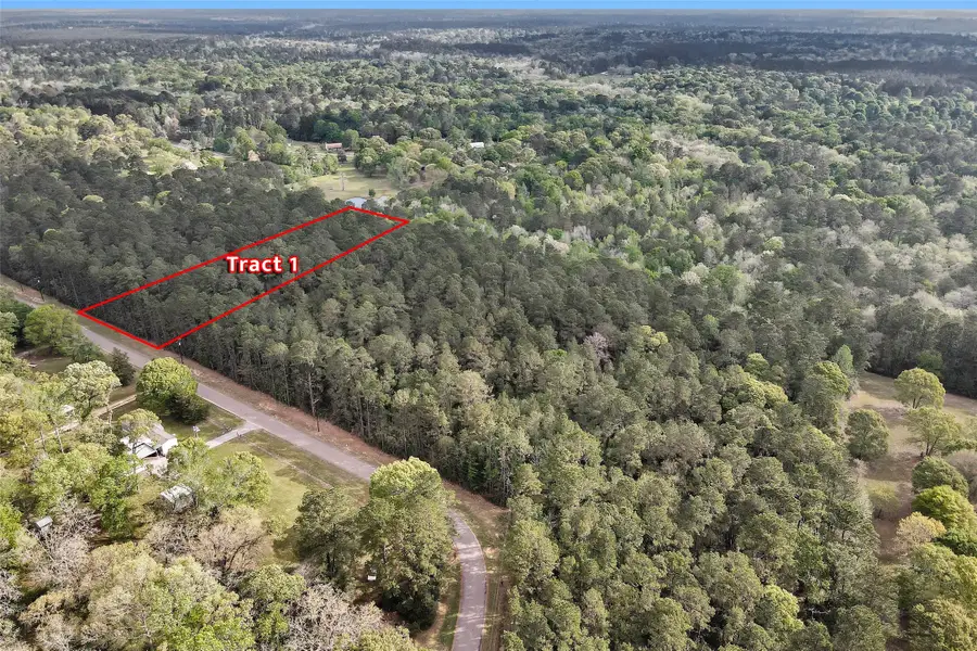TBD- TR1 Cedar Lane Loop, Willis, TX 77378 - #2