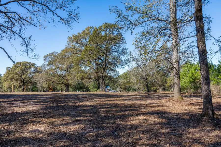 5901 Highline Drive, Montgomery, TX 77316 - Image #3