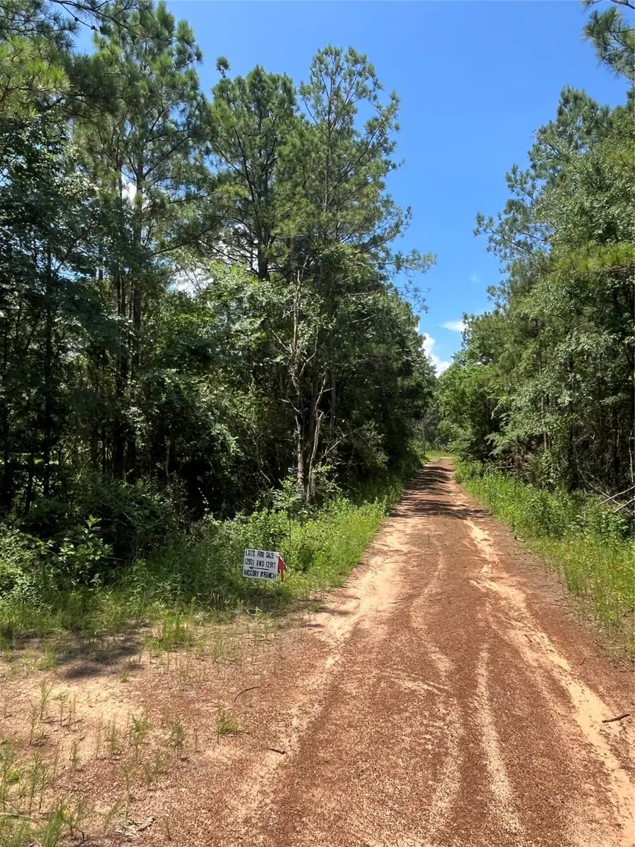 12931 Hickory Branch Lane, Plantersville, TX 77363 - Image #3