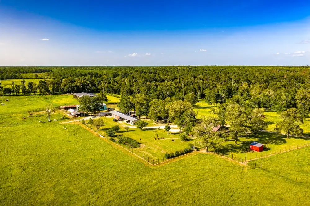 1017 County Road 4650, Kirbyville, TX 75956 - #1