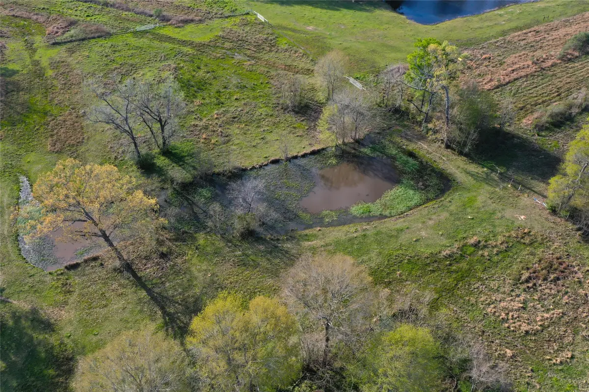 254 Road 312, Cleveland, TX 77327 - Image #1