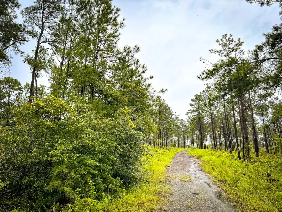 04 Cr 257 / Cr 258, Jasper, TX 75951 - Image #2