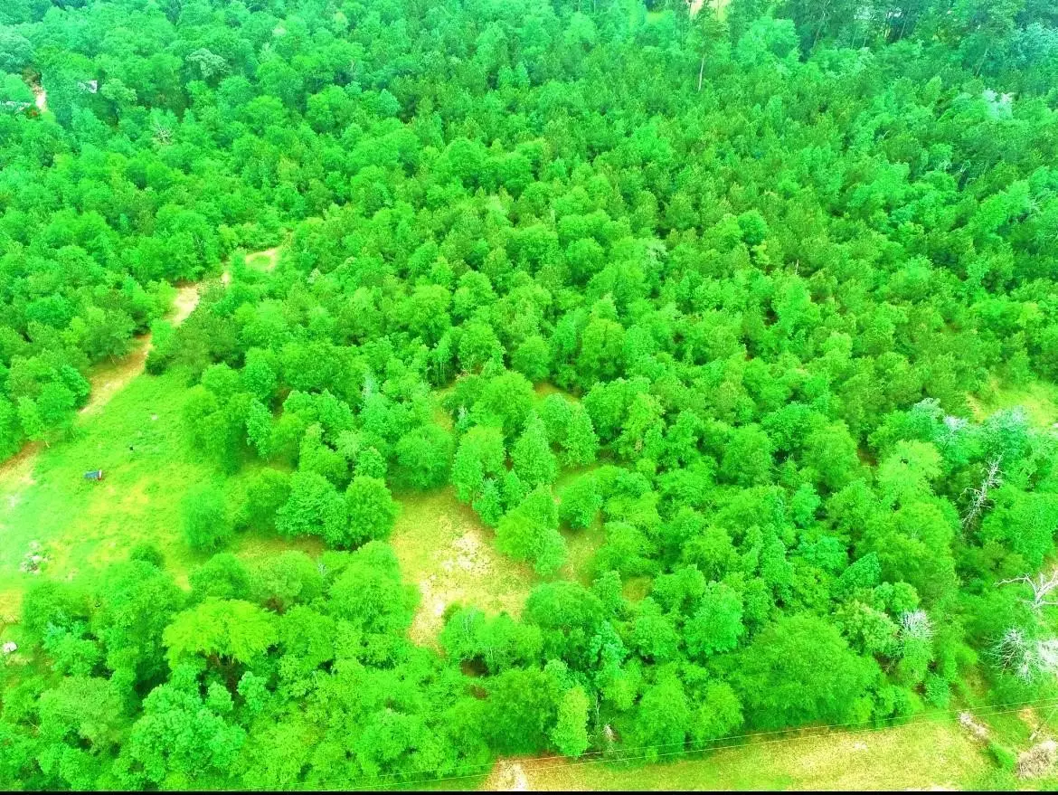 2401 W Geronimo Trail, Cleveland, TX 77328 - #1