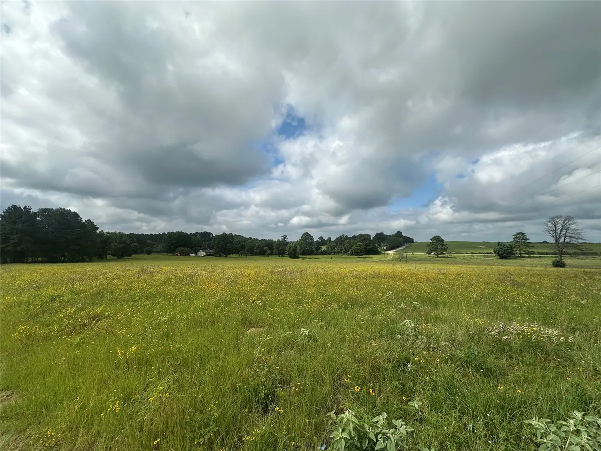 11.78AC Cr 223, Buffalo, TX 75831 - #1