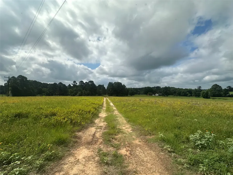 11.78AC Cr 223, Buffalo, TX 75831 - #2