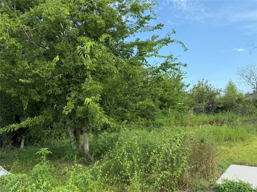 7949 Angus Street, Houston, TX 77028 - #2