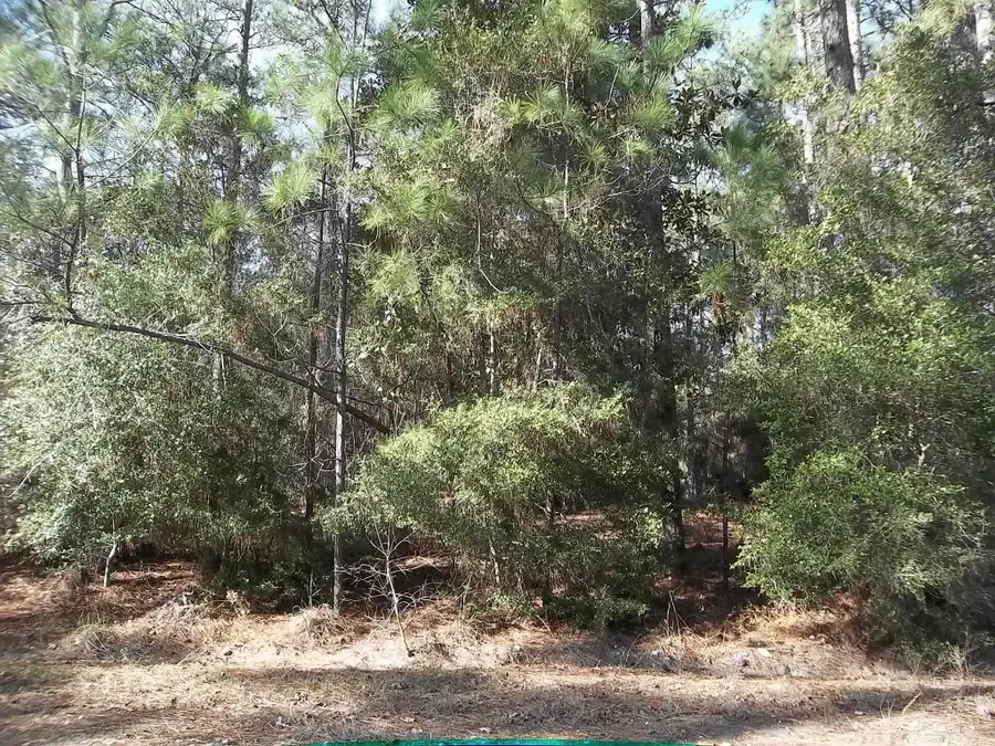 0 Dagger Drive, Brookeland, TX 75931 - Image #2