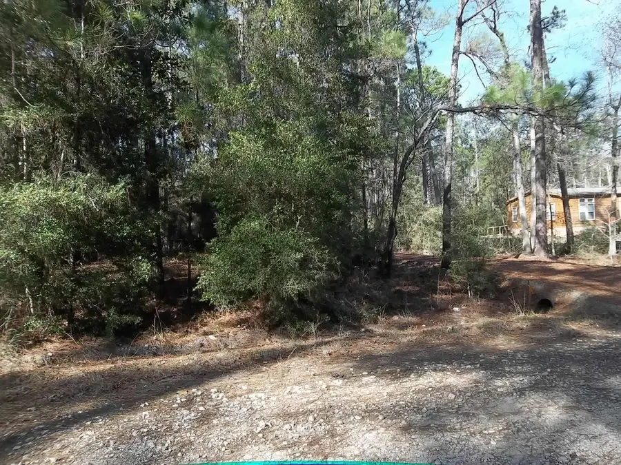 0 Dagger Drive, Brookeland, TX 75931 - Image #3