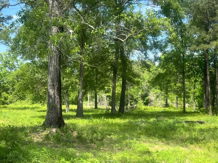 0 Kalka Road, Conroe, TX 77302 - #3