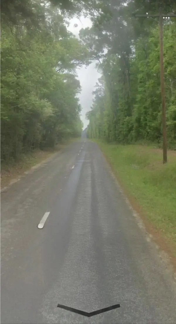 0000 County Road 2650, Livingston, TX 77327