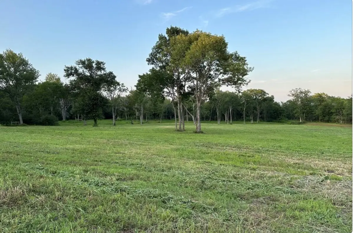 612 Worsham Street, Montgomery, TX 77316 - Image #1