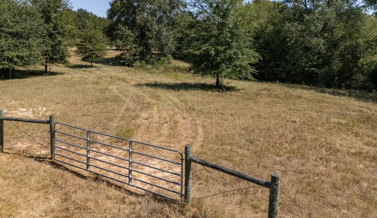 TBD County Road 320, Centerville, TX 75833 - #1