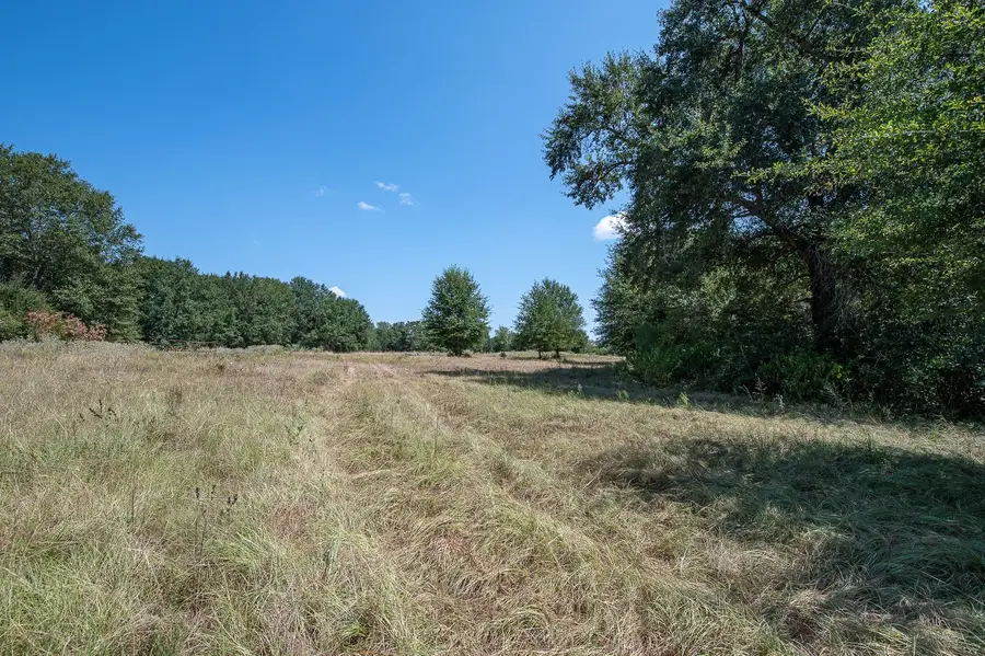 TBD County Road 320, Centerville, TX 75833 - #2