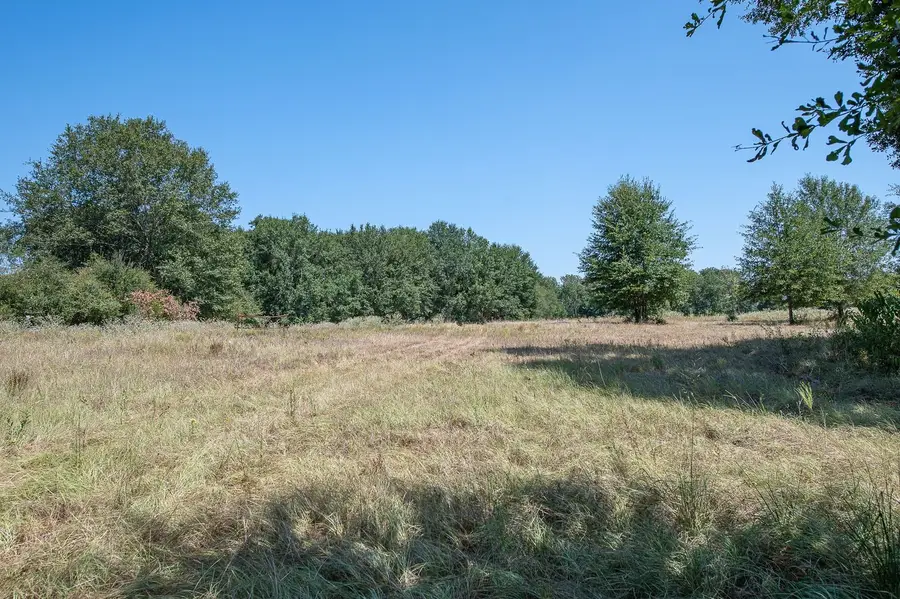 TBD County Road 320, Centerville, TX 75833 - #3