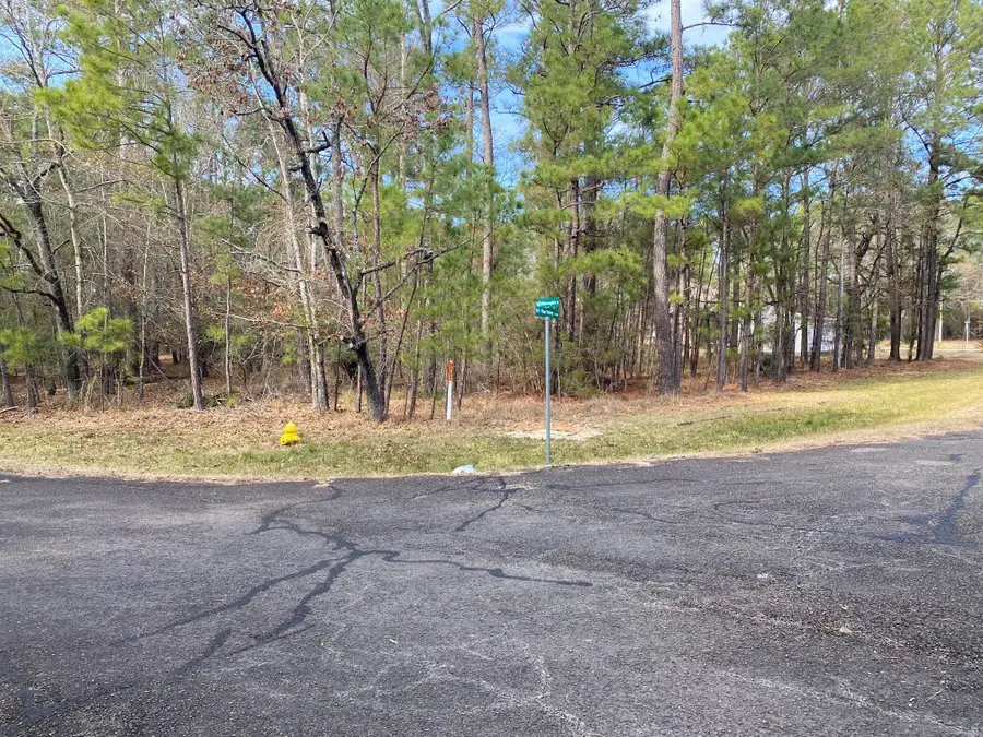 24418 Gleneagles, Huntsville, TX 77320 - Image #3