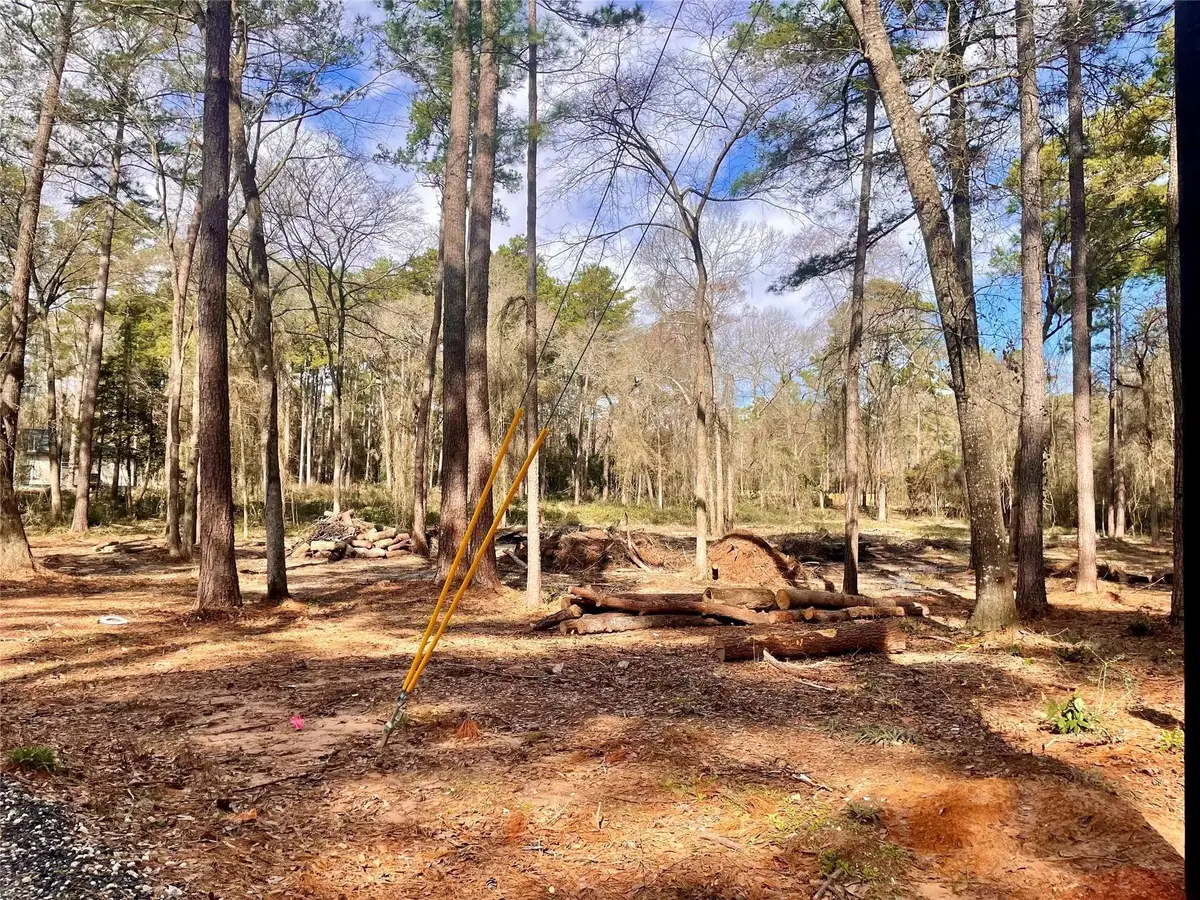 11253 Greenway Drive, Plantersville, TX 77363 - Image #1