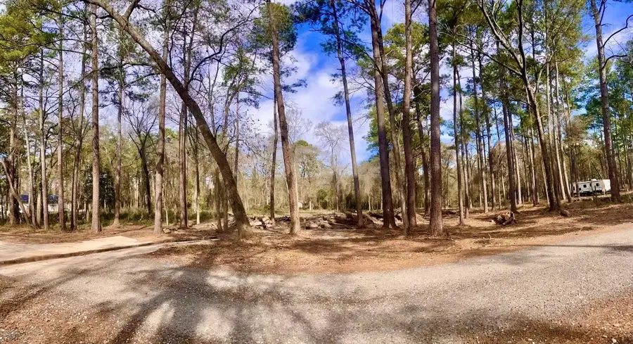 11253 Greenway Drive, Plantersville, TX 77363 - Image #3