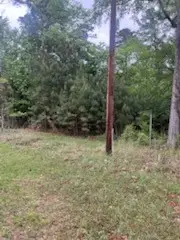 Lot 51 & 52 Sabine Drive, Trinity, TX 75862 - #2