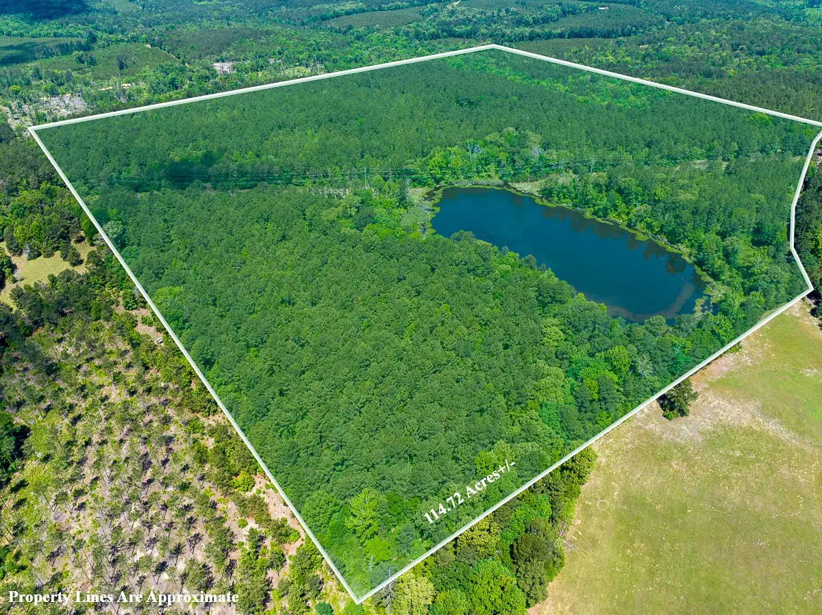 3 County Road 1115, Atlanta, TX 75551 - #1
