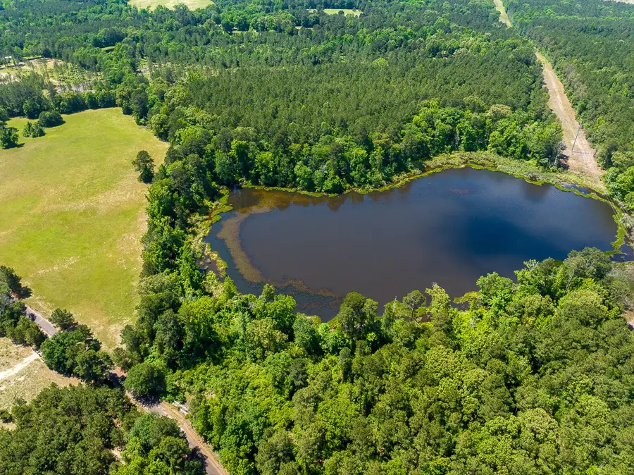 3 County Road 1115, Atlanta, TX 75551 - #2