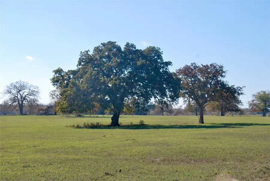 TBD Cr 405, Flatonia, TX 78941 - Image #2