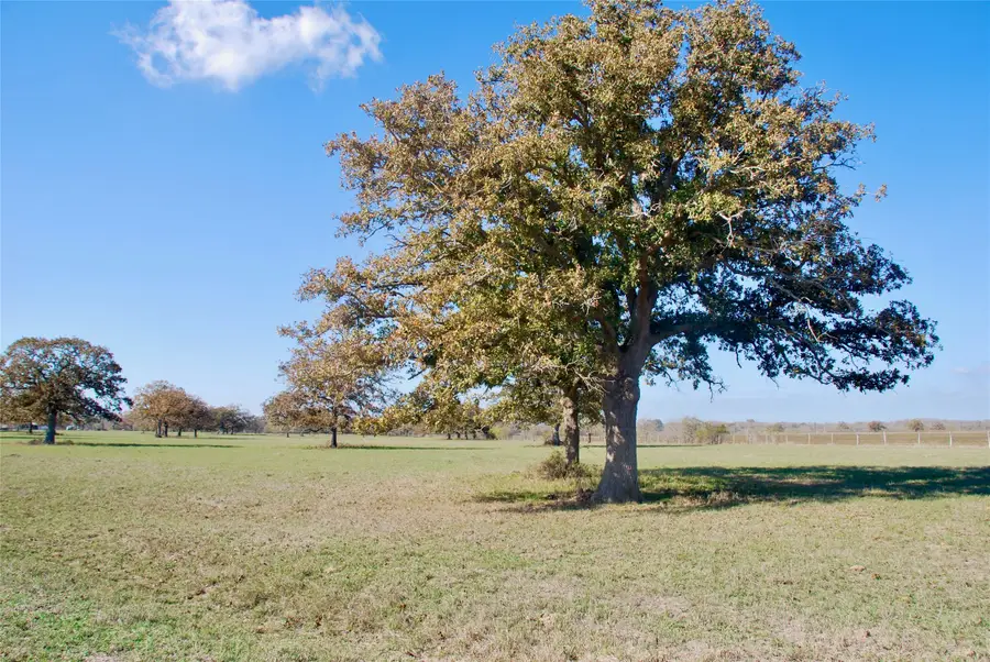 TBD Cr 405, Flatonia, TX 78941 - Image #3