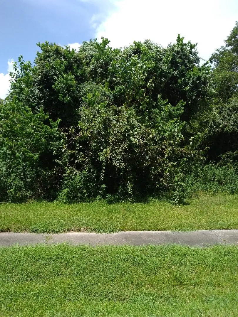 0 Gunter Street, Houston, TX 77020 - Image #2