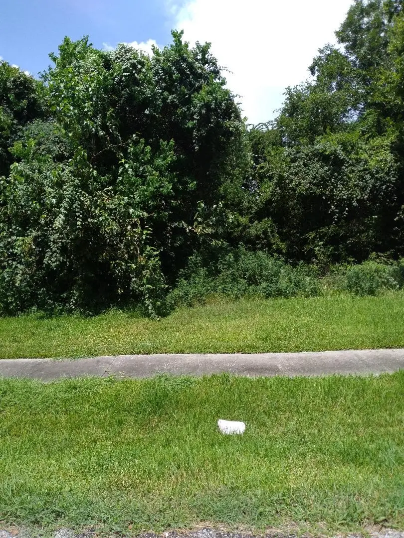 0 Gunter Street, Houston, TX 77020 - Image #3