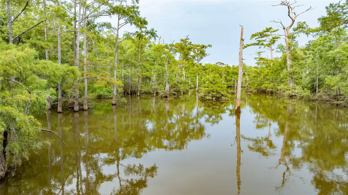 TBD Cr 4113, Call, TX 75933 - Image #1