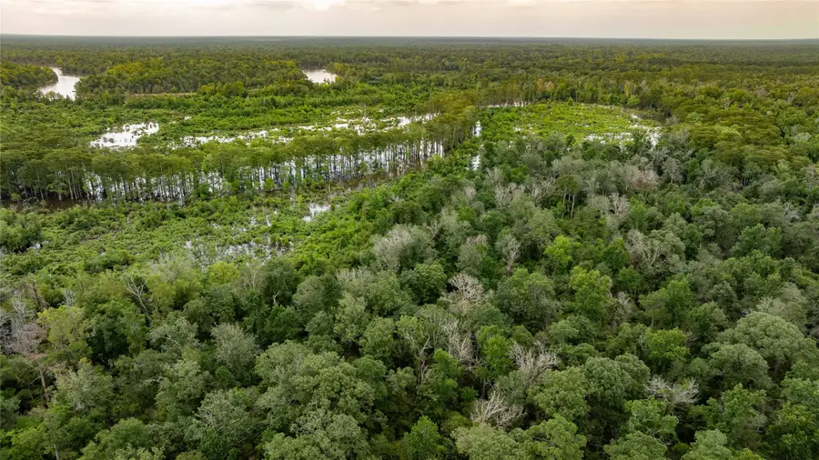 TBD Cr 4113, Call, TX 75933 - Image #2