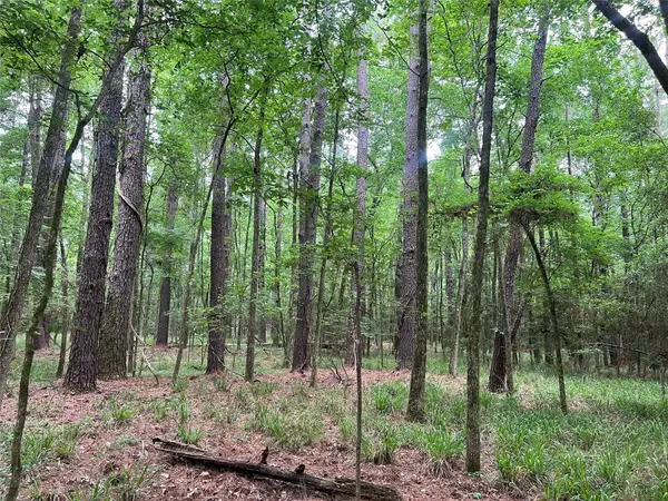 00 Wilderness Road, Point Blank, TX 77364