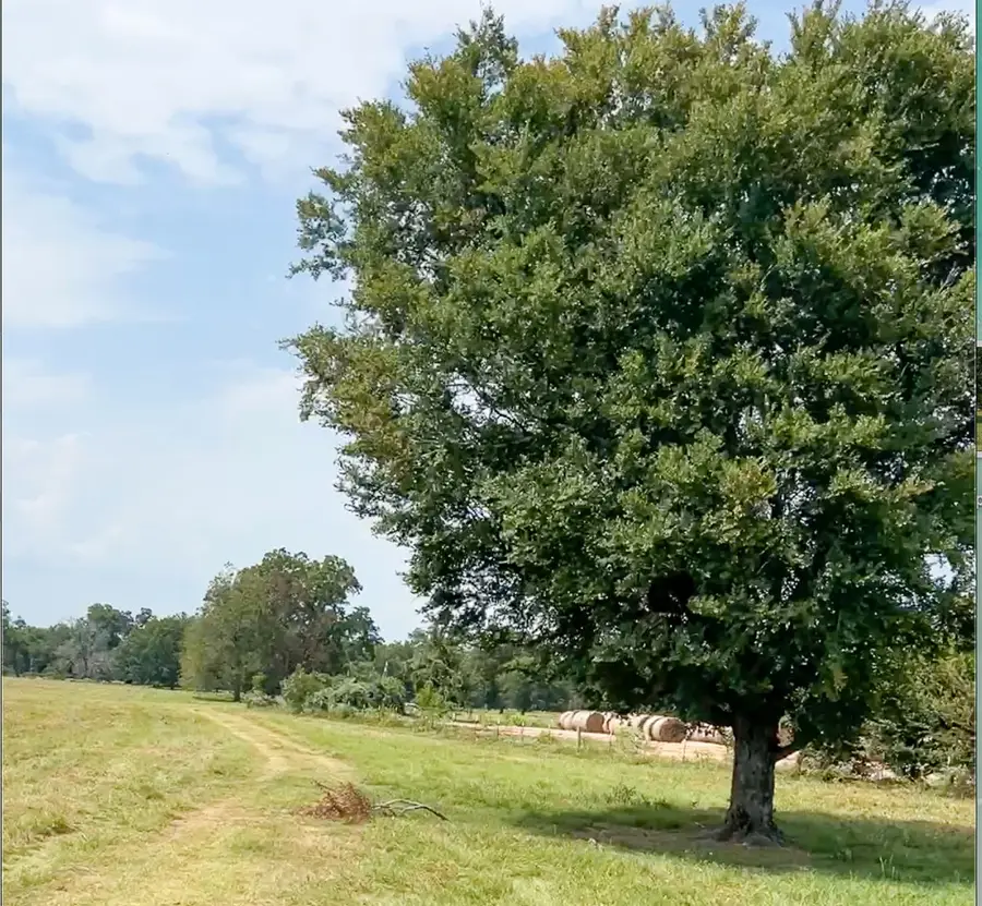 0046 Fm 2548 E, Midway, TX 75852 - #3