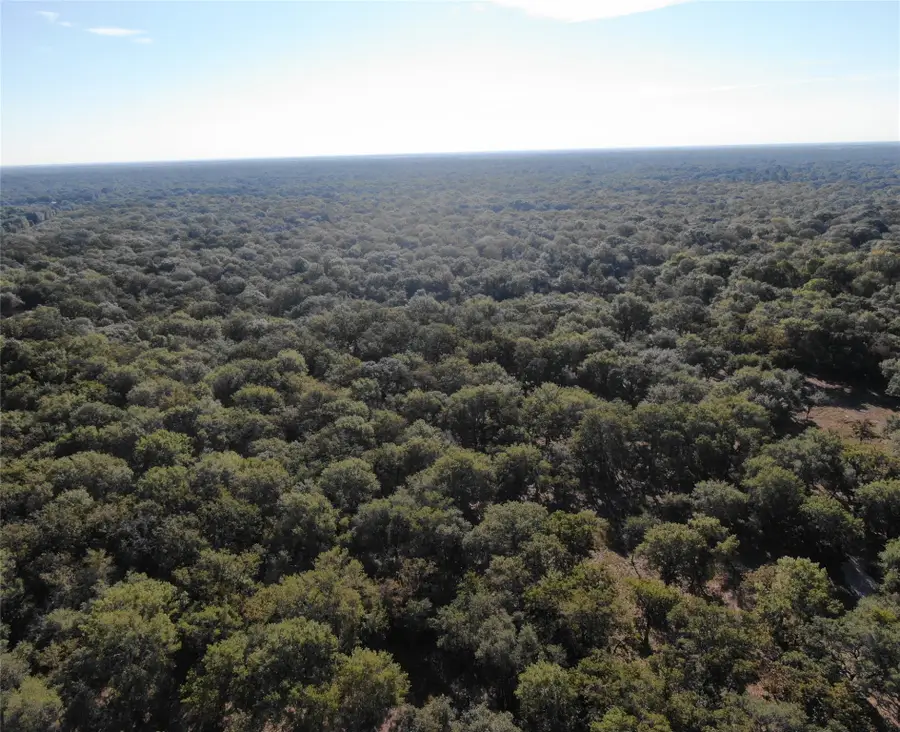 TBD Sandy Creek Rd, Garwood, TX 77442 - Image #3