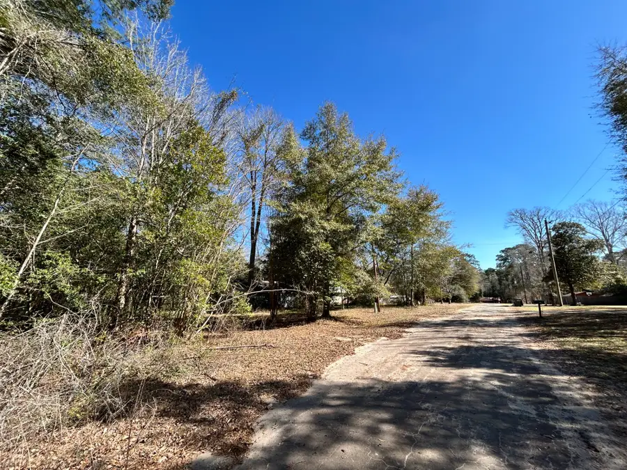Lot 26 Buckingham Drive, Ivanhoe, TX 75979 - #3