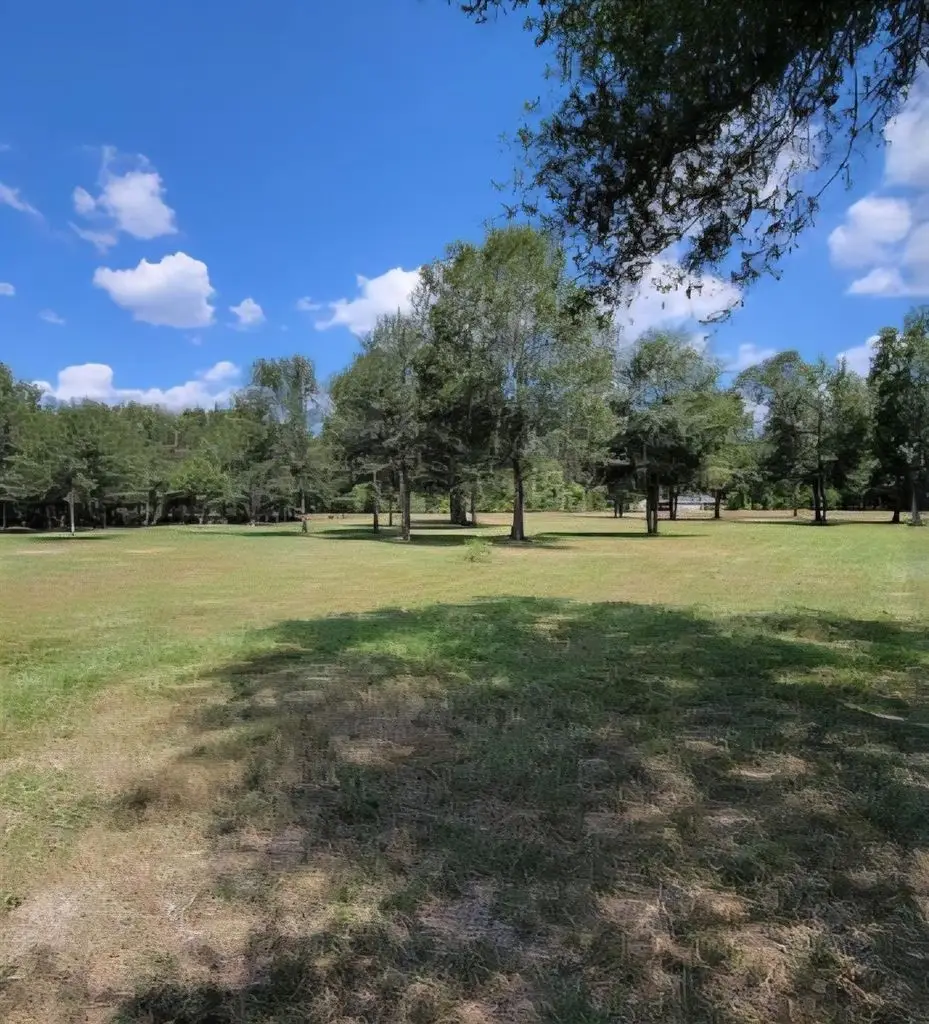 254 County Road 48761, Dayton, TX 77535 - #1