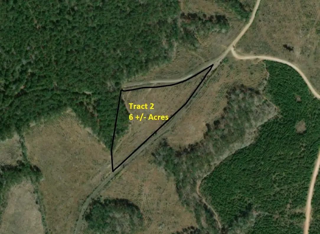 Lot 2 Denning Cr 255, San Augustine, TX 75972 - Image #1