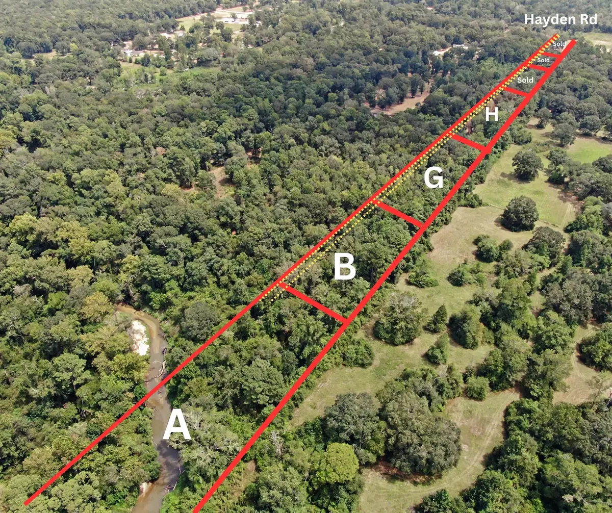 A Hayden Road, Conroe, TX 77306 - #1