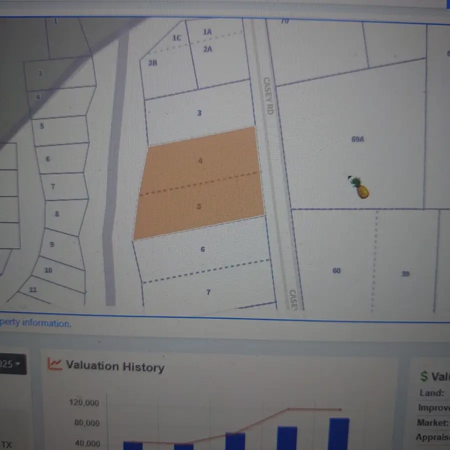 0 Casey Road, New Caney, TX 77357 - Image #3