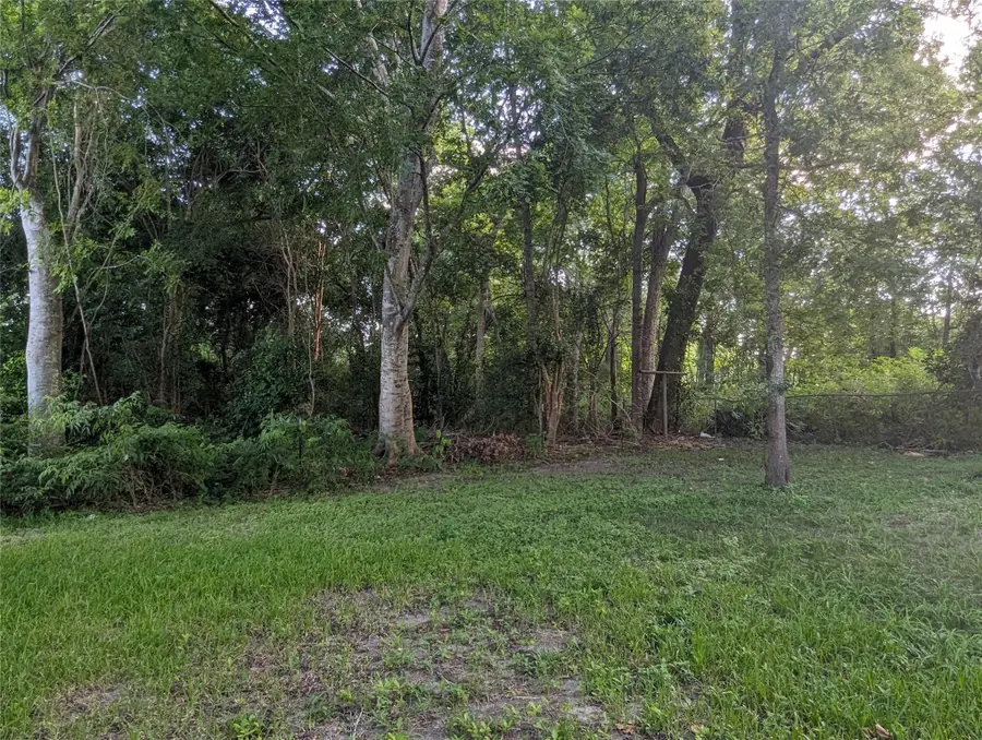 TBD Beaumont Avenue, Liberty, TX 77575 - Image #2