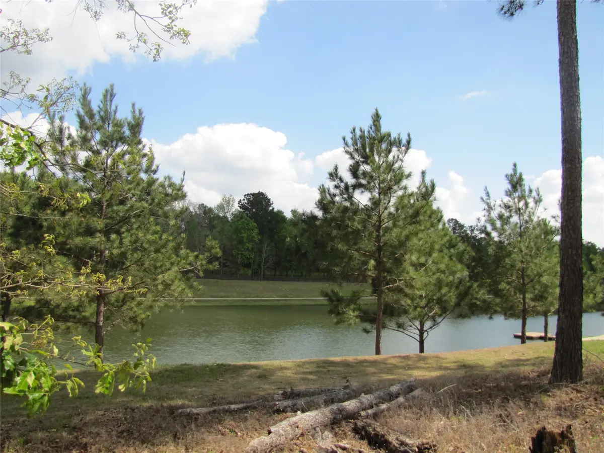 6919 Texas Trace, Montgomery, TX 77316 - #1