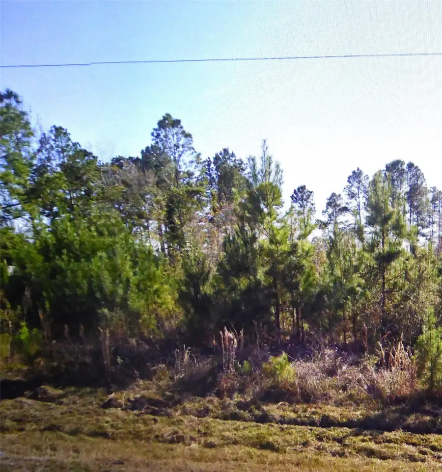 50 County Road 3479a, Cleveland, TX 77327 - Image #3