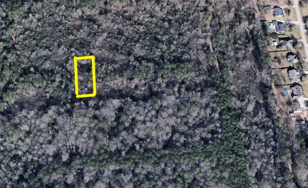 0000 Woodbranch Dr, New Caney, TX 77357 - Image #1