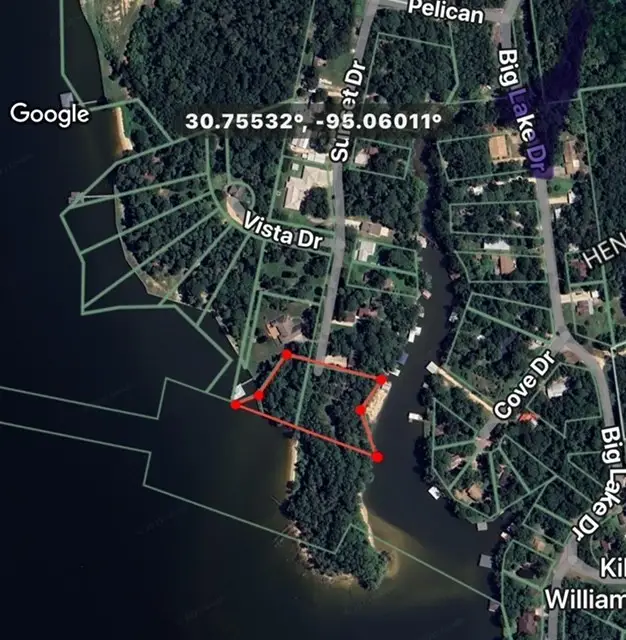 373 Sunset Drive, Livingston, TX 77351 - #3