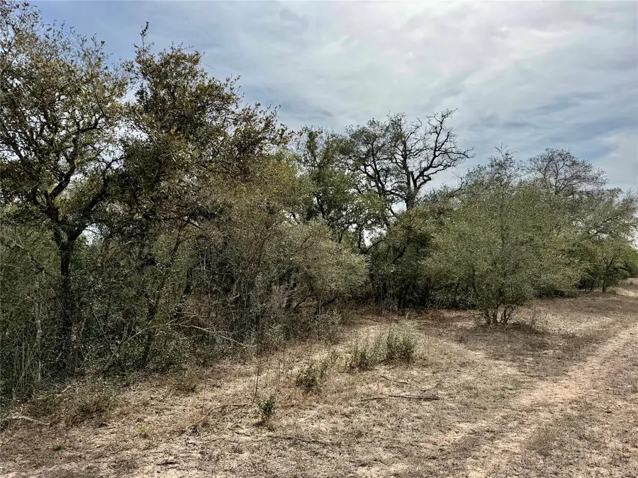 17.20 acres Friar Road, Cuero, TX 77954 - #2