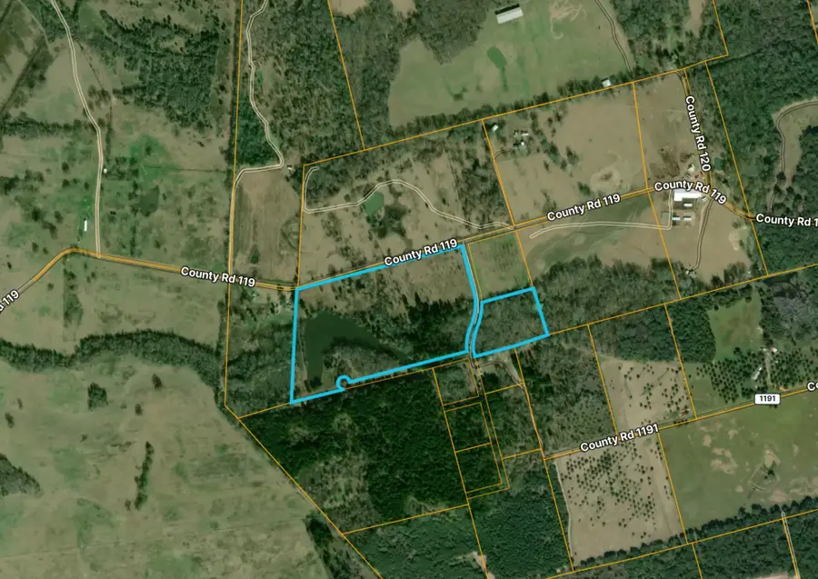 0 County Road 119, Elkhart, TX 75839 - #2