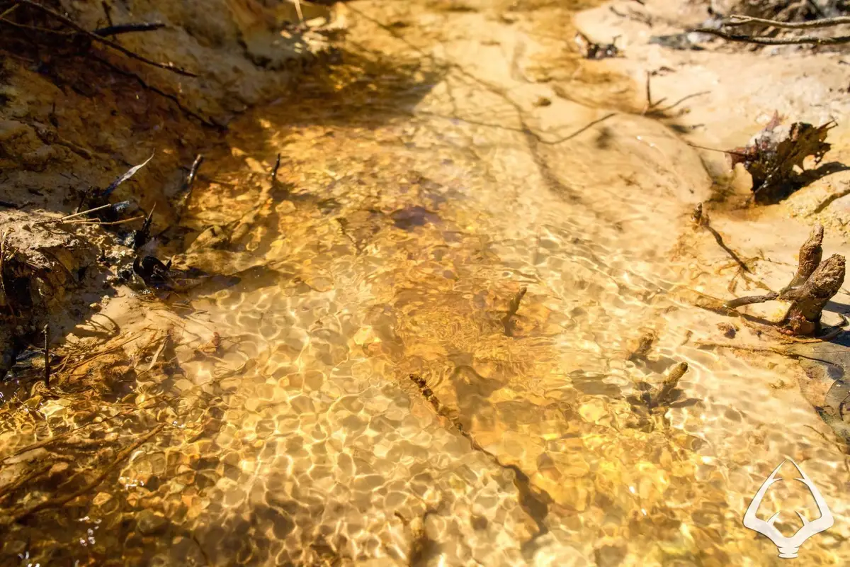 TBD 3 County Road 435 D, Laneville, TX 75667 - Image #1