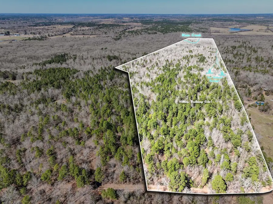 TBD 3 County Road 435 D, Laneville, TX 75667 - Image #2